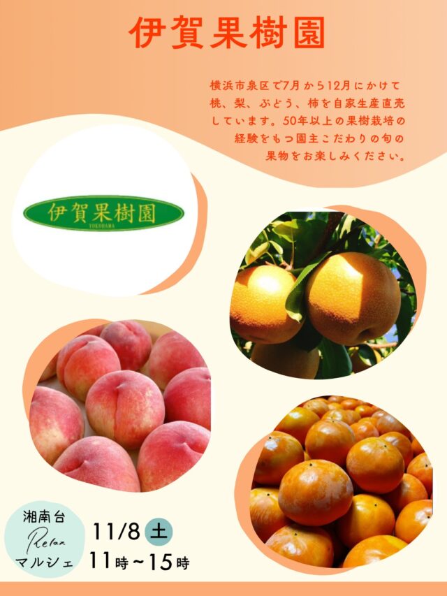 【湘南台Relaxマルシェ出店者情報③】

〈伊賀果樹園〉
横浜市泉区で7月から12月にかけて桃、梨、ぶどう、柿を自家生産直売しています。50年以上の果樹栽培の経験をもつ園主こだわりの旬の果物をお楽しみください。

［湘南台Relaxマルシェ］
日時：11/8（土）11時~15時
会場：NODE GROWTH 湘南台
神奈川県藤沢市湘南台1-3-1
湘南台駅徒歩1分
※入場無料

#神奈川グルメ #神奈川イベント #神奈川マルシェ #マルシェ #relax食堂 #relax食堂湘南台 #湘南台 #学生寮